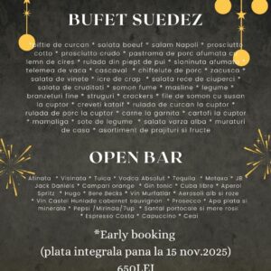 REVELION 2025 - 2026